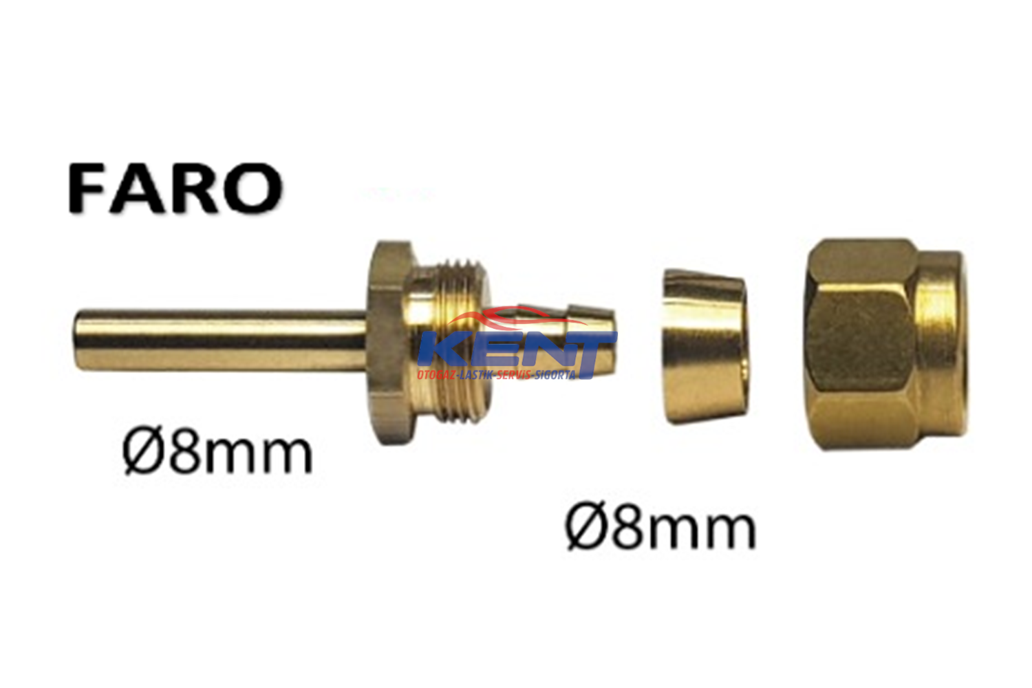 FARO Termoplastik Rekor Takımı Prinç ( 8 lik )