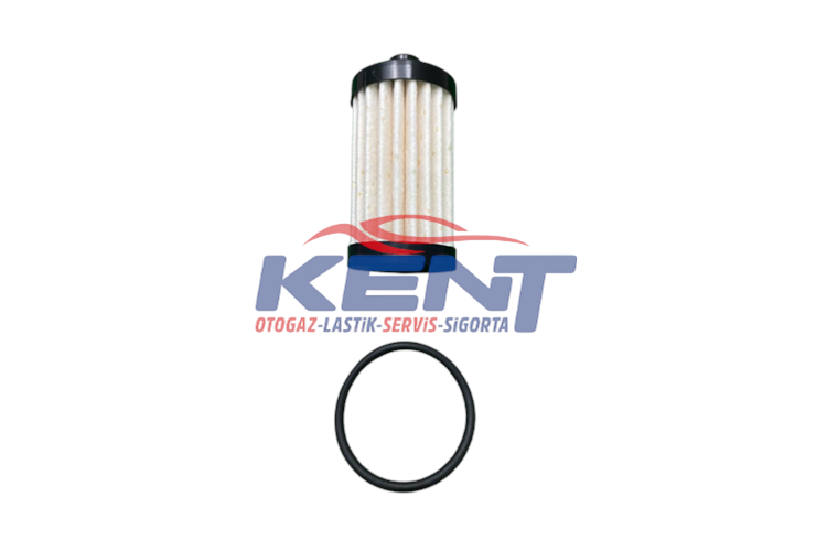 BRC LDİ FİLTRE FSU KARTUJ