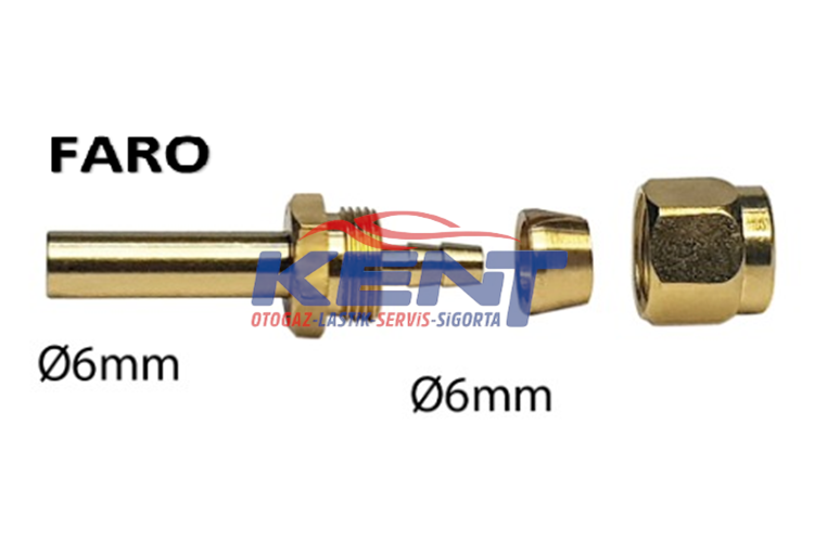 FARO Termoplastik Rekor Takımı Prinç ( 6 lik )