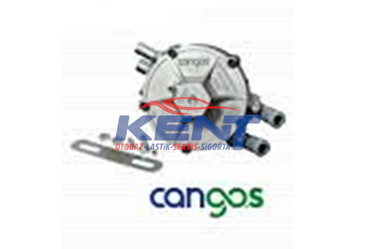 Cangas Matrıx Regülatör