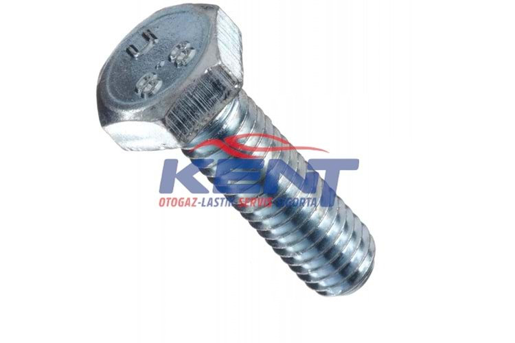 Civata Beyaz M8*30 mm. 200 Adet